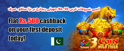 مفت اسپنز کی بارش 🎡 promotion